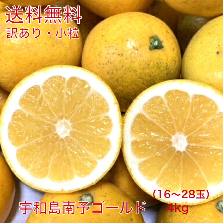 愛媛県産訳あり宇和島南予ゴールド小粒4kg　訳あり・サイズ（3S〜S）・送料無料（北海道・沖縄別途800円・離島別途）・宇和ゴールド・河内晩柑・美生柑・みかん・和製グレープフルーツ・訳あり・柑橘・小粒・フルーツ・家庭用・夏分担・さわやか・ジューシー・オレンジ