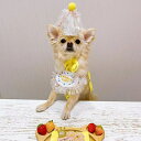 バースデースタイ＆ハット お誕生日に大活躍 スタイ 帽子 ハット セット 可愛い 犬用スタイ 猫用スタイ エプロン 記念日 お祝い お誕生日セット 誕生日 その1