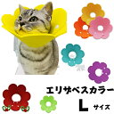 エリザベスカラー2枚セット 【Lサイズ】 犬 猫 小型犬 ソフト 軽量 柔らかい 術後 ペット 傷舐め 足舐め 保護 手術 ケガ 怪我 けが 簡単 ソフトエリザ...