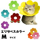 エリザベスカラー2枚セット 【Mサイズ】 犬 猫 小型犬 ソフト 軽量 柔らかい 術後 ペット 傷舐め 足舐め 保護 手術 ケガ 怪我 けが 簡単 ソフトエリザ...