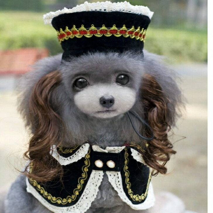 犬 服 ハロウィン 可愛い コスプレ ウィッグ付き 帽子 マント ロリータ 貴族 犬服 小型犬 犬用 ワンピース ペットウェア 犬の服 かわいい おしゃれ ドッグウェア 可愛い ペット服 インスタ映え その1