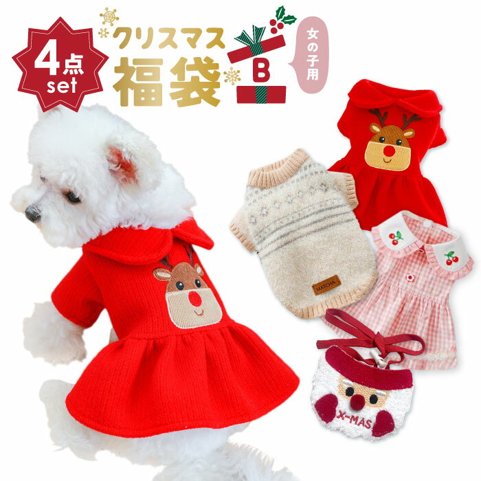 【12月4日20時からのセール対象品】 犬服 冬 犬 冬服 福袋 クリスマス 4点セット 女の子 猫 小型犬 犬用 犬服 ワンピース ウェア かわいい 豪華 綺麗 高級 おしゃれ 可愛い 送料無料 クリスマスパーティー お祝い 生地厚め その1