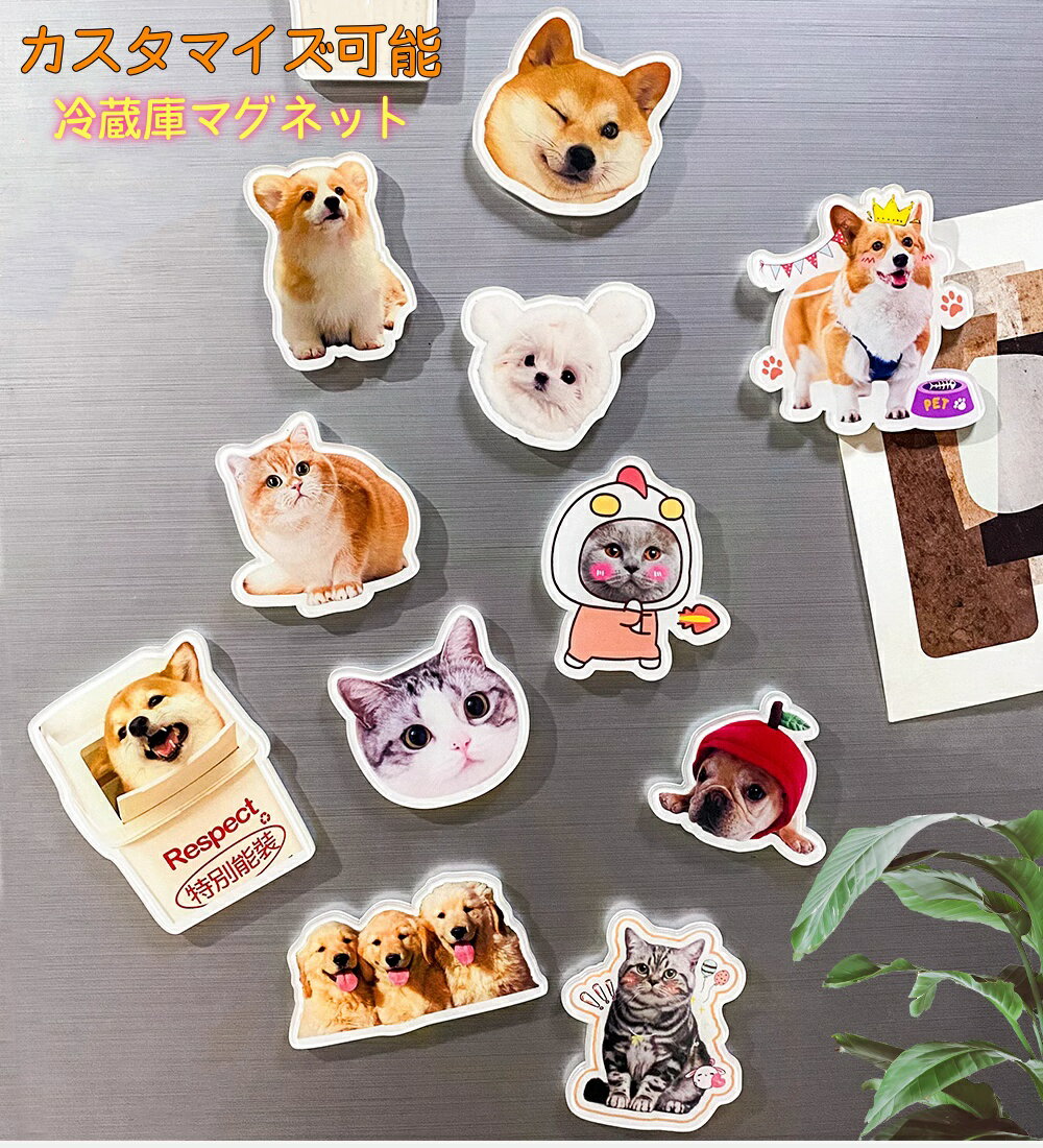 冷蔵庫マグネット 3個セット オーダーメイド可 高密度磁石 アクリル製 冷蔵庫/ホワイトボード対応 家族..