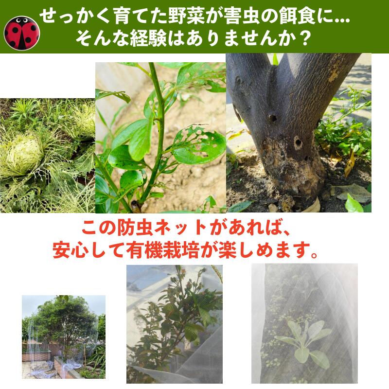 ＼任意2個で300円OFF／防鳥ネット 防虫ネット ファスナー付き 鳥よけネット 巾着式 収穫口付き 果樹 野菜 バラ 植物保護カバー 家庭菜園 農業用 7サイズ 丈夫 透光性90% 防雹 防風 紫外線対策 軽量 洗濯可能 繰り返し使用