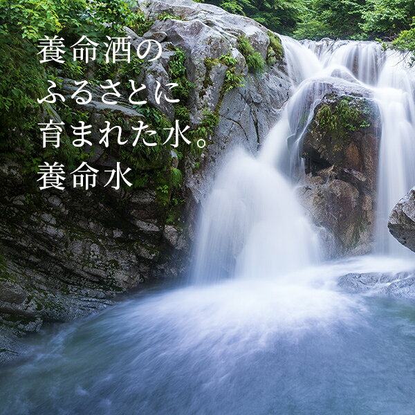 サンプル画像3