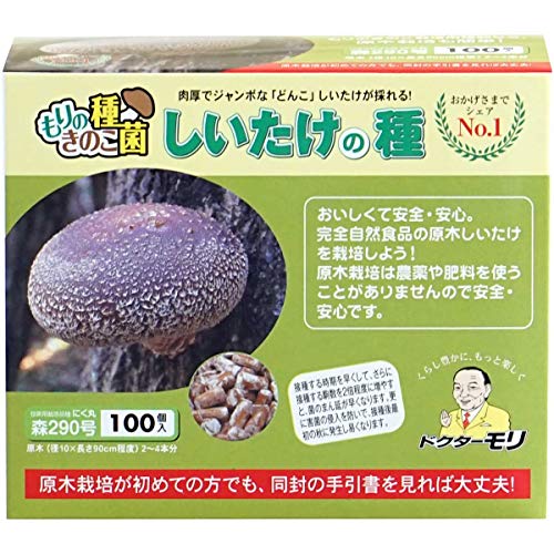 森のきのこ倶楽部 しいたけ種駒 森290号 にく丸 (100駒) きのこ 栽培キット (原木しいたけ/説明書付き) 食育 栽培