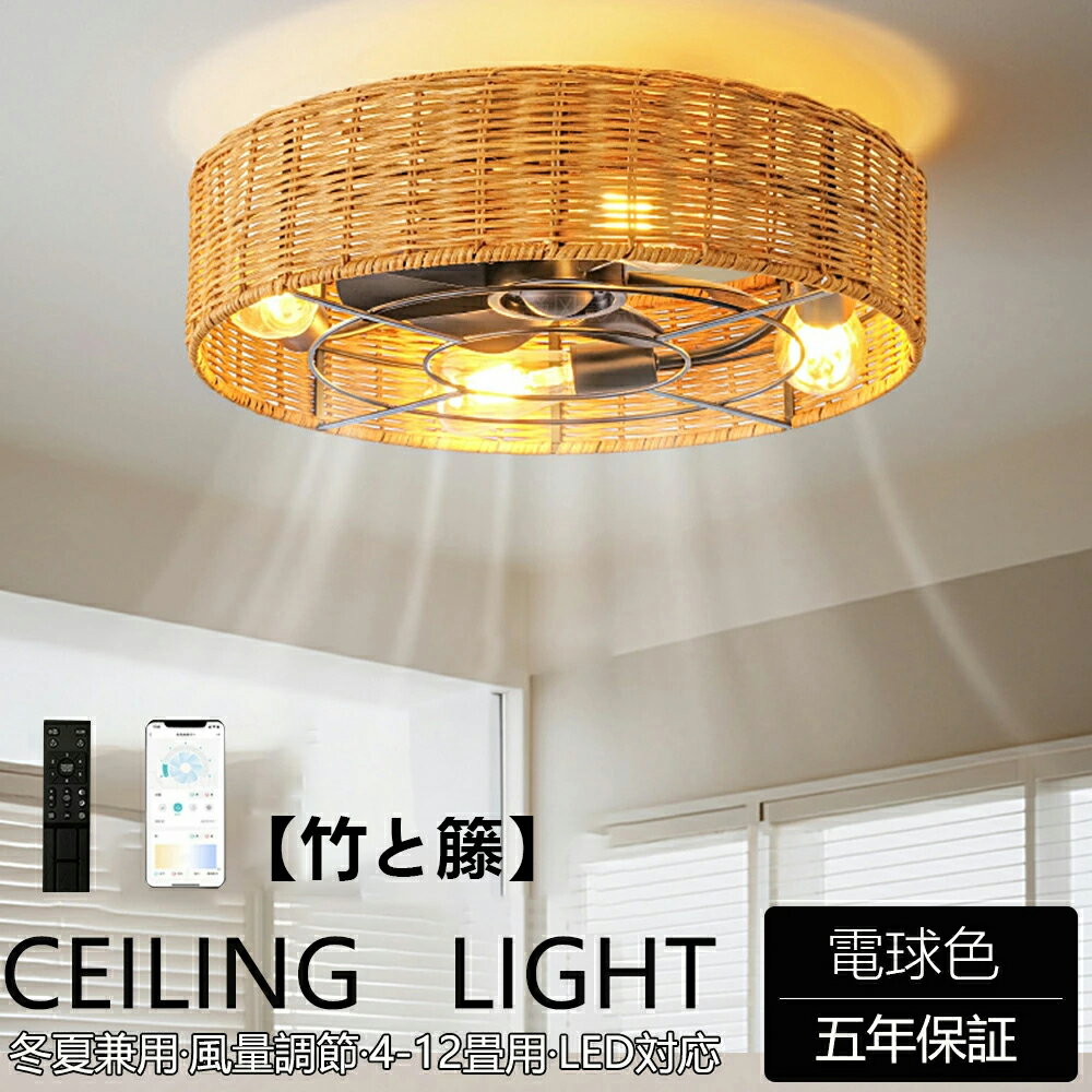 ��2026�ǿ����ۥ�����󥰥ե��� ������󥰥ե���饤�� ŷ�����Ԥ� �ե����� LED ������󥰥饤�� ���å� ���� 8�� 10�� 12�� ŷ����� ������...