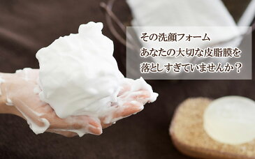 よもじおパウダー 詰め替えパック 100g 送料無料 無添加洗顔フォーム 「お顔・歯磨き用」