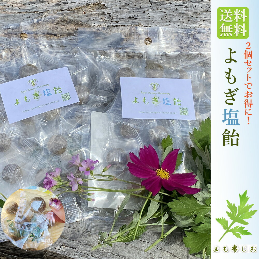 よもぎ塩飴2個セット 無農薬 送料無