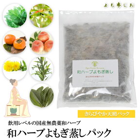 よもぎ蒸しパック きらびやか天照パック 24g 個包装 よもぎ 無農薬 オーガニック パッド 座浴 和ハーブ