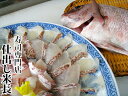 お中元 お歳暮 ギフト商品 お取り寄せ 【鯛しゃぶしゃぶ鍋】 (小サイズ) タイしゃぶ 鯛しゃぶ 鯛しゃぶ用 しゃぶしゃぶ しゃぶしゃぶ用 活け鯛 贈り物 ギフ...