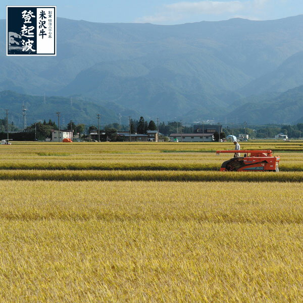 米沢牛登起波　老舗の御飯　米沢産はえぬき 5kg【ご自宅用】