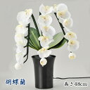 お盆 提灯 蓮華灯 光触媒 グランドルミナス 胡蝶蘭3本立 LED【送料無料】