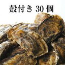 牡蠣 殻付き 広島産 30個 加熱用 ナイフ 手袋付 広島牡蠣生産者米田海産が育てた殻付き牡蠣 生牡蠣 生ガキ お歳暮 バーベキュー BBQ 海の幸 シーフード 海産物 魚介類 養殖 亜鉛 タウリン