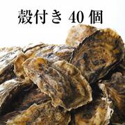 牡蠣 殻付き 広島産 40個 広島牡蠣生産者米田海産が育てた殻付き牡蠣 生牡蠣 生ガキ 加熱用 お歳暮 バーベキュー BBQ