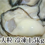 牡蠣 冷凍 広島産 IQF 1.5kg(500g×3袋) 広島牡蠣 加熱用 カキ生産者米田海産が作った冷凍カキ むき身 大粒 冷凍牡蠣 冷凍食品 特価！！ 送料無料 お歳暮など贈答用にも 海の幸 シーフード 海産物 魚介類 国産 瀬戸内 養殖 亜鉛 タウリン