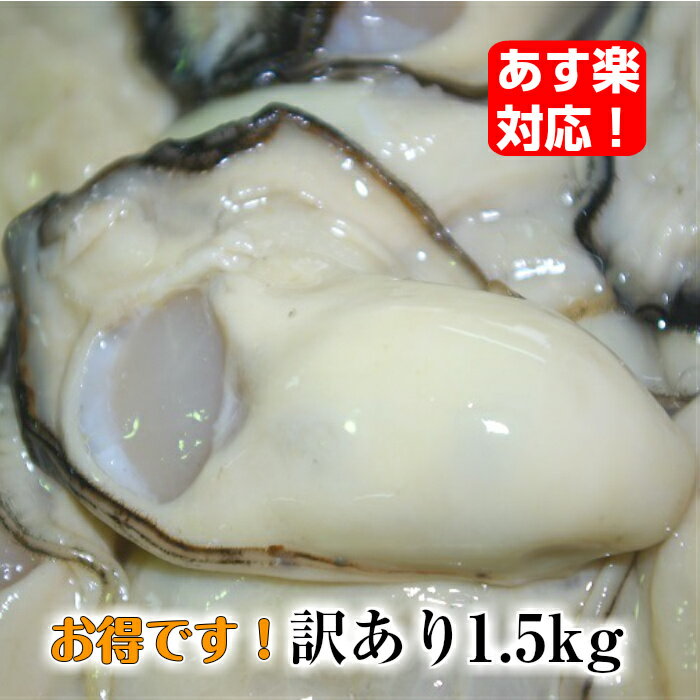 牡蠣 むき身 訳あり 規格外 1.5kg 【送料無料・あす楽対応】 広島牡蠣生産者米田海産が育てた 美味しい生牡蠣 むきみ 生ガキ カキ 牡蛎 自宅用 広島産 小粒 加熱用 楽天市場店限定品