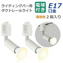 【選べる特典付】 ライティングレール 照明 スポットライト ダクトレール用 ダウンライト E17口金 LED電球付き 電球色 昼白色 4W 40W形相当 2個セ...