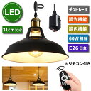  ペンダントライト ダクトレール 北欧風 E26口金 直径31CM LED電球付き 6W 60W形相当 調光調色 エジソン電球 リモコン付き コード付 60cm 調節可能 吊り下げ レールライト 天井照明 照明器具 リビング カフェ風 店舗照明 インテリア照明 おしゃれ 1灯セット