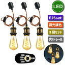 【選べる特典付】 【3灯セット】 ペンダントライト 照明器具 天井 led E26口金 LED電球付き 調光調色 20W形相当 昼白色 電球色 常夜灯 スポットライト ダクトレール用 天井照明 吊り下げ コード付き 100cm調節可能 エジソン電球 レールライト リビング カフェ風 店舗照明