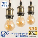 【選べる特典付】 ペンダントライト 3灯セット E26口金 LED電球付き フィラメント電球 60W形相当 電球色 電球ソケット 照明器具 ダクトレール用 天井...