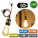 【選べる特典付】 ペンダントライト E26口金 引掛シーリング用 60W形相当 調光調色 リモコン付き 遠隔操作 LED電球付き led照明 昼光色 昼白色 電...
