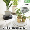 【選べる特典付】 tidy プランタブル L キャスター付 植木鉢トレー 日本製 鉢皿 台 観葉植物 トレイ 水受け 受け皿 らくらく移動 可動式 小物 園芸用...