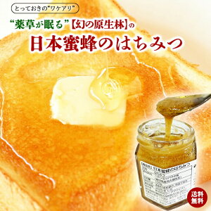 【産地直送】幻の原生林の日本ミツバチの蜂蜜 120g 非加熱 非加糖 コク 薩摩藩 鹿児島 南大隅 佐多 手作業 生蜂蜜 純度100% 鹿児島最南端の原生林 薬草