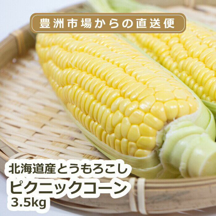 【送料無料】 とうもろこし 北海道産 ピクニックコーン 約3.5kg メロンより甘い 生で食べれる 糖度18度以上 甘味 朝採 恵味 生トウモロコシ 冷やす おやつ ピクニック お中元 食べ物 食品 内祝 御中元 2021 豊洲市場 直送 プレゼント ギフト 贈り物 お土産 お祝い おすすめ