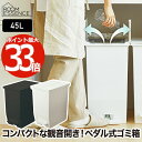 【選べる特典付】 ゴミ箱 おしゃれ ふた付き SOLOW ペダルオープンツイン 45L ごみ箱 分別 トラッシュボックス ダストボックス 蓋 大容量 ペダル式 ...