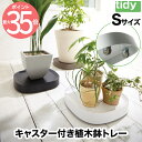 【送料無料】 tidy プランタブル S キャスター付 植木鉢トレー 日本製 鉢皿 台 観葉植物 トレイ 水受け 受け皿 らくらく移動 可動式 小物 園芸用品 ...