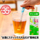 紅茶 スティック STYLE STICK スタイル