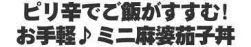 ドカンと10食！ミニ 麻婆茄子 丼の具 まとめ買い 新年会 新春 夜食 レンジ 簡単調理 ディナー オードブル パーティー お取り寄せグルメ お取り寄せ グルメ ご飯のお供 ごはんのおとも