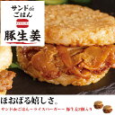 おためし ライスバーガー サンド de ごはん 豚生姜 2食 セット 1袋からの お試し に 同梱にもオススメ お取り寄せグルメ お取り寄せ グルメ 冷凍 惣菜 おかず お夜食 お弁当 簡単 便利 お手軽 ふっくら ご飯 直火 釜炊き 焼肉 豚ばら肉 生姜焼き 国産玉ねぎ 2