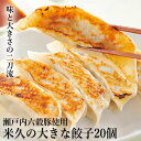 クリスマス オードブル 米久の大きな 餃子 20個 セット 国産豚肉使用 ぎょうざ ギョウザ ギョーザ ジャンボ 冷凍 冷凍餃子 バラ凍結 加熱済み お取り寄せ...