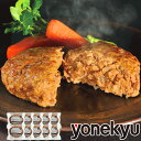 【送料無料】デミグラスソース風野菜大豆バーグ　100g×2個　三育