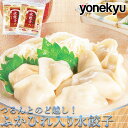 お取り寄せグルメ ふかひれ入り 水餃子 480g×2パック セット 餃子 ぎょうざ ギョウザ ギョーザ スープ そうめん 冷やし中華 ラーメン 鍋 お鍋 に 冷...