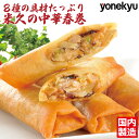 お取り寄せグルメ たっぷり 中華 春巻 20本 国内製造 セット 春巻き ハルマキ 具だくさん お弁当 点心 お取り寄せ グルメ ご飯のお供 ごはんのおとも デ...