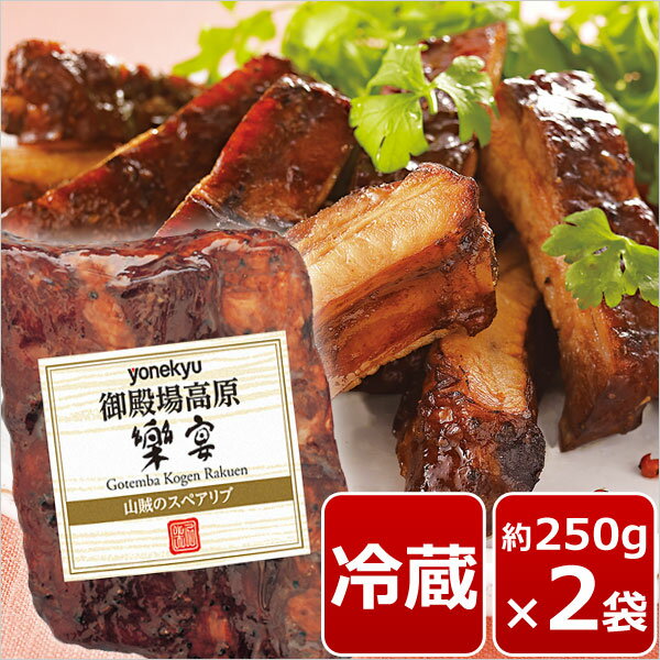 【お届けは8月15日まで】 山賊の スペアリブ 250g前後×2 セット 肉 ローストスペアリブ 骨付き肉 お取り寄せグルメ 予約 お中元 ギフト プレゼント の お試し 人気 食べ物 おつまみ お取り寄せ グルメ お取り寄せグルメ 酒の肴 お酒のお供のサムネイル