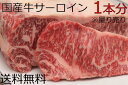 【送料無料】国産牛(交雑牛)サーロイン 1本 ブロック 業務用 量り売り チルド 未成型