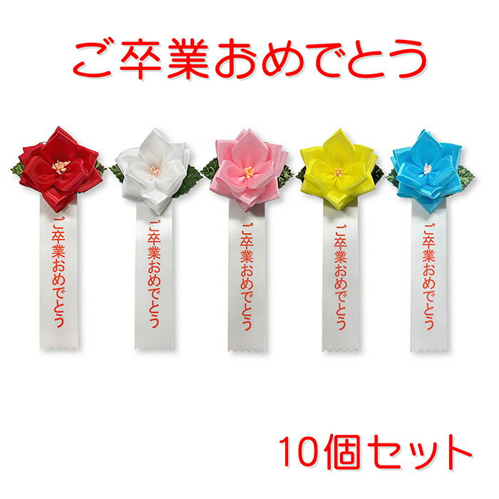 YONEOKA RIBBON ܥ󵭾 (   ) ƦХ ´ȤǤȤ10ĥå