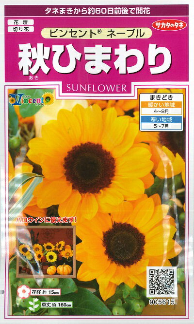 【秋ひまわり】ビンセントネーブル(15粒)【サカタのタネ】ヒマワリ905615のサムネイル