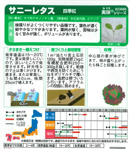 �ڥ��ˡ��쥿���ۻ͵��ȡ�3.5ml�ˡڥ������Υ��͡�[�դޤ�][���ޤ�]��923686��