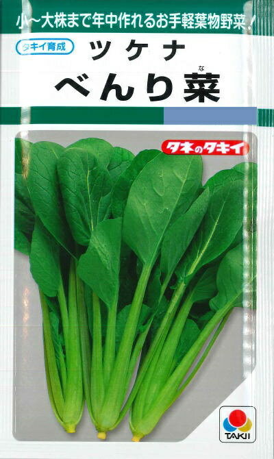 【ツケナ】べんり菜 【タキイのタネ】 野菜種（10ml）[春まき][秋まき]GF