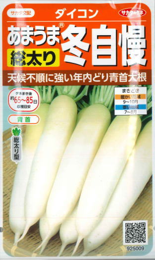 【冬どりあまうま大根】冬自慢【サカタ交配】（10ml）野菜種/ダイコン[秋まき]925009