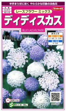 【レースフラワーミックス】ディディスカス【サカタのタネ】（1ml）【半耐寒性1年草】[春まき][秋まき]905307