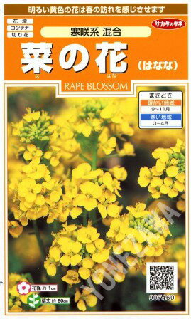 【菜の花（花菜）】寒咲系　混合【サカタのタネ】（1ml）【耐寒性一年草】[秋まき]907460のサムネイル