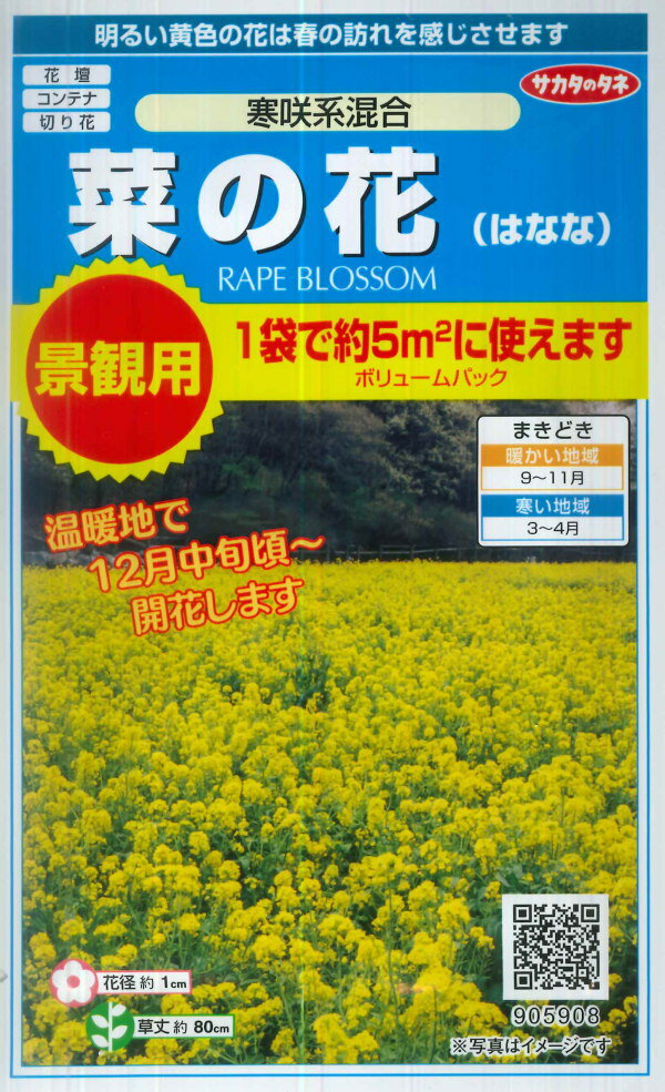 【景観用 菜の花（はなな）】寒咲系混合　ボリュームパック（5g）【サカタのタネ】[秋まき]905908