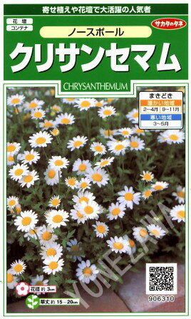 【クリサンセマム】ノースポール【サカタのタネ】（0.2ml）【半耐寒性一年草】[春まき][秋まき]906310