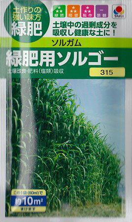 【緑肥（ソルガム）】緑肥用ソルゴー【タキイ種苗】（60ml）[春まき][秋まき]
